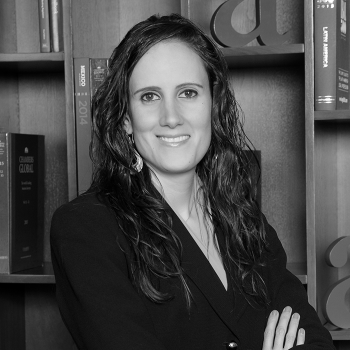 Snchez DeVanny Eseverri, S.C Mexico Office