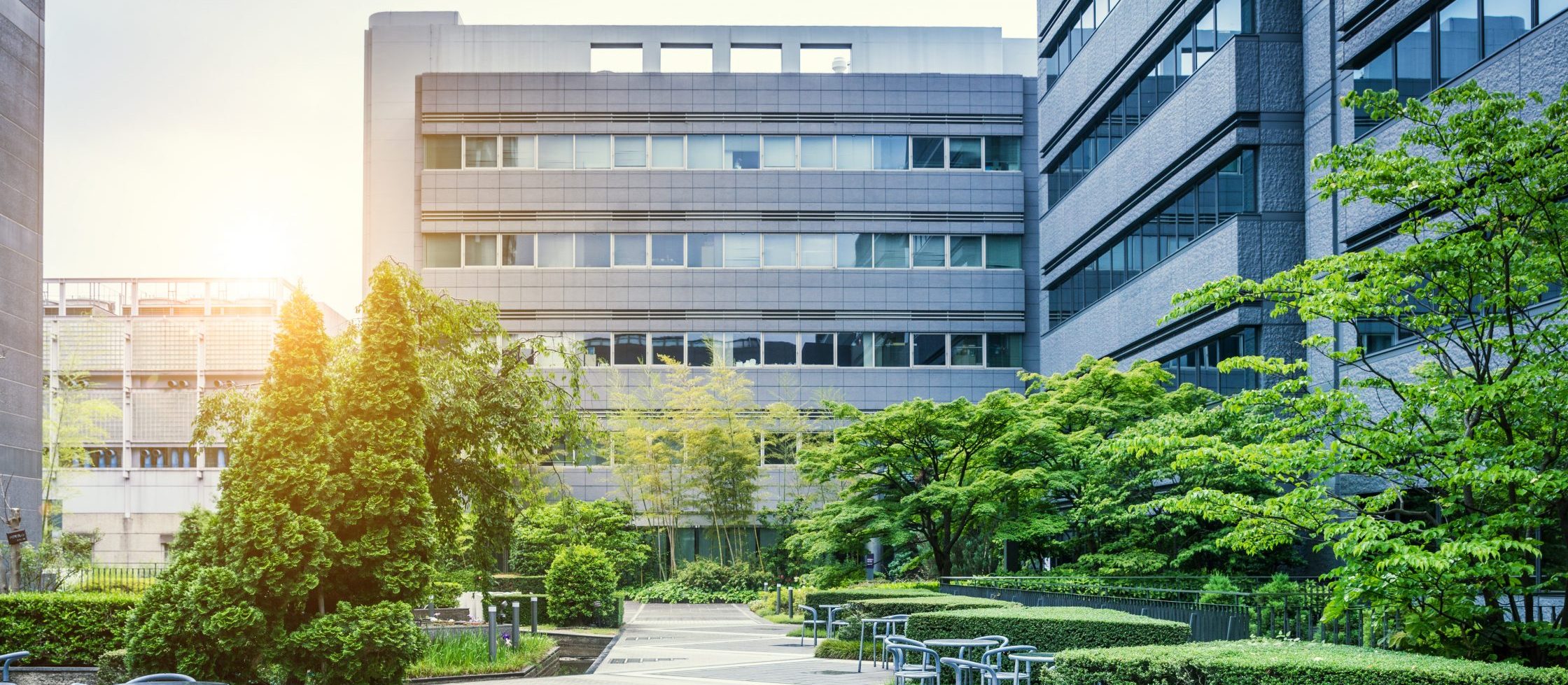 JDA Law Firm Saint Cloud,  Office