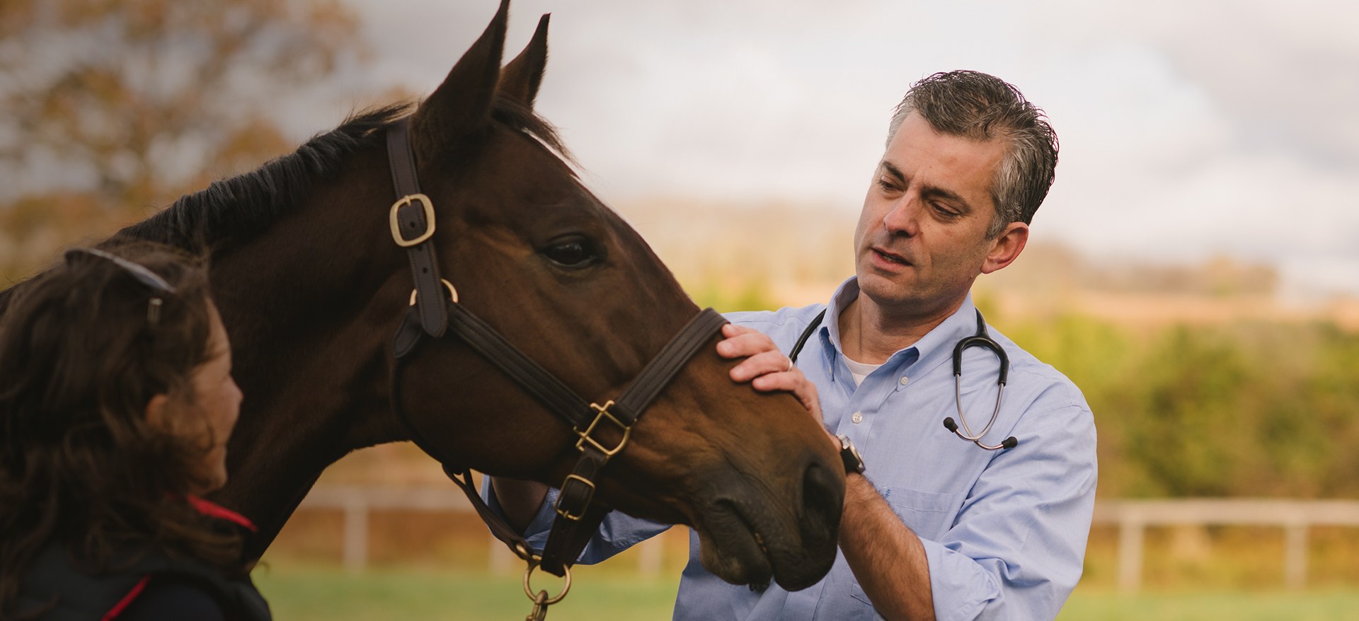 Warners Solicitors Sevenoaks, United Kingdom Office