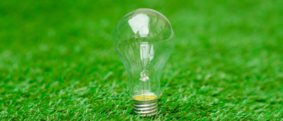 Nestor Nestor Diculescu Kingston Petersen SCA Timisoara, Romania Office