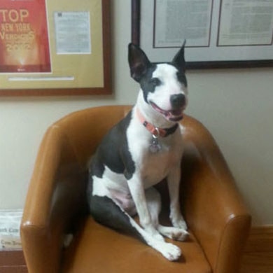 Gash & Associates, P.C White Plains, NY Office