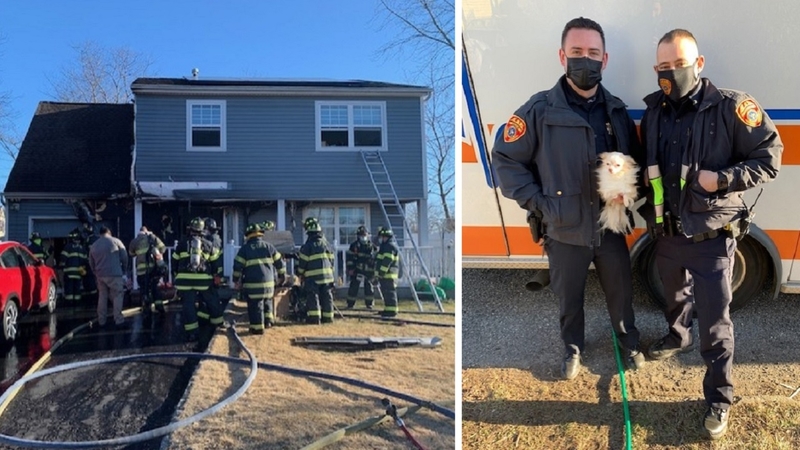 Davidow, Davidow, Siegel & Stern, LLP Islandia, NY Office