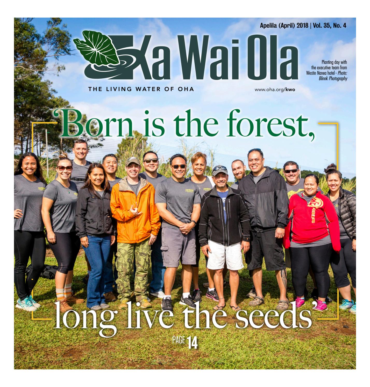 Law Offices of Ian Mattoch Kailua Kona, United States Office