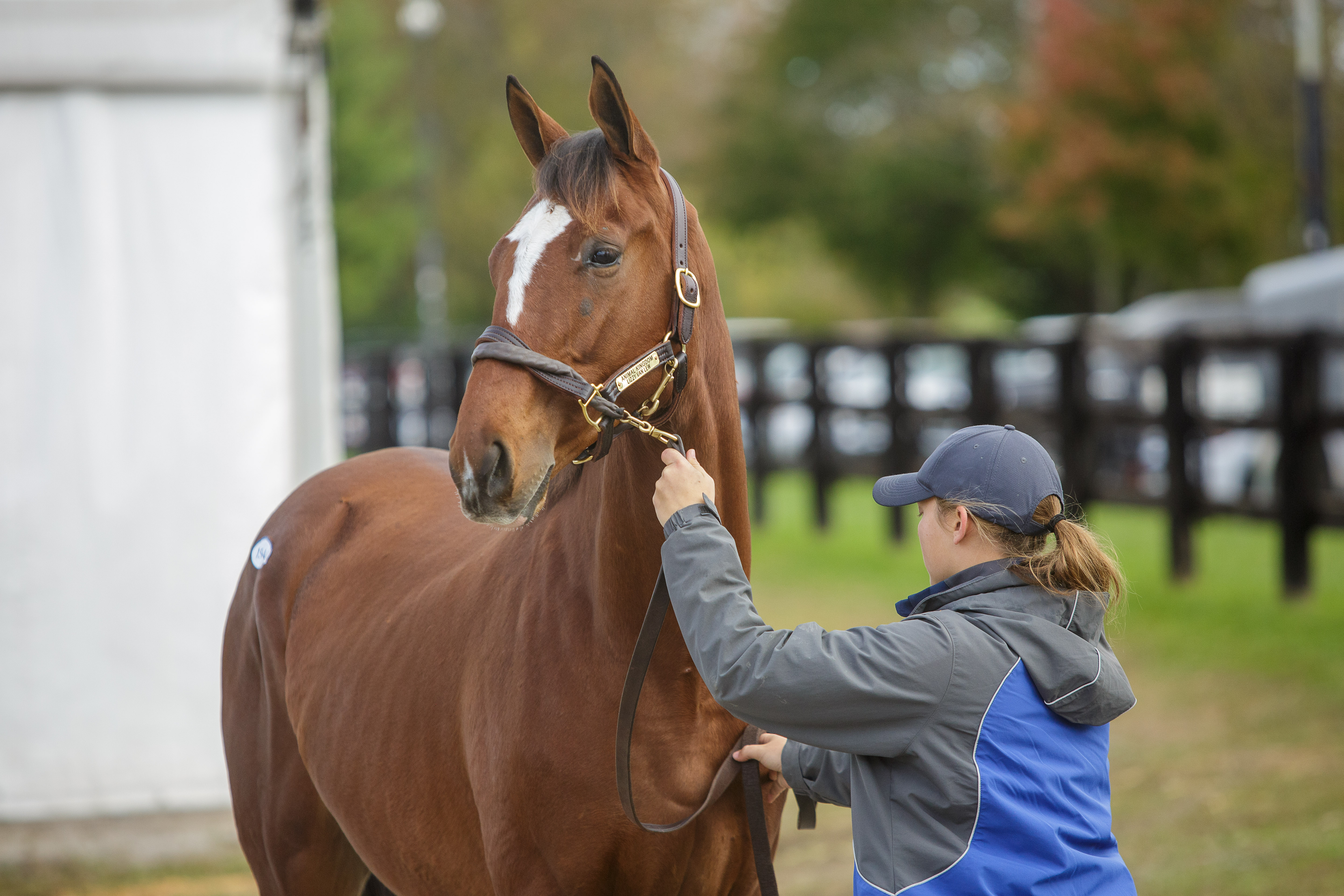 Walther, Gay & Mack, PLC Lexington, KY Office