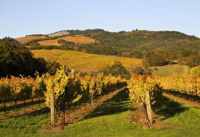 Bradford & Barthel, LLP Redding, CA Office