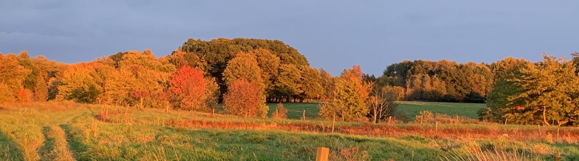 Warren and Young PLL Ashtabula, OH Office
