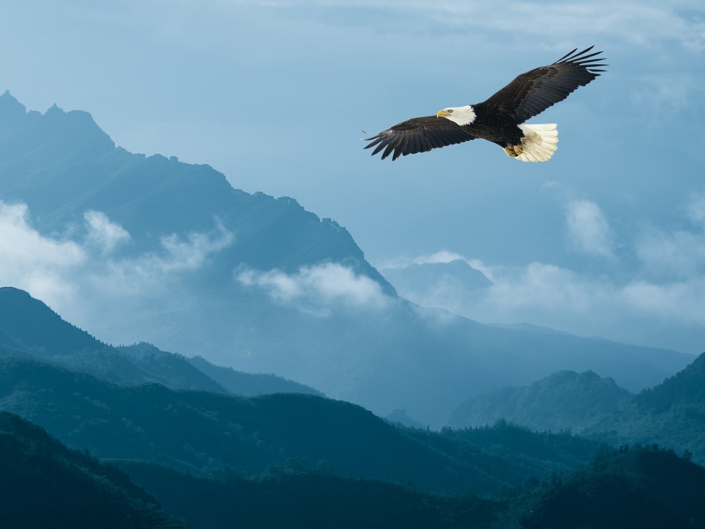 Steven L. Walker PLC San Jose,  Office