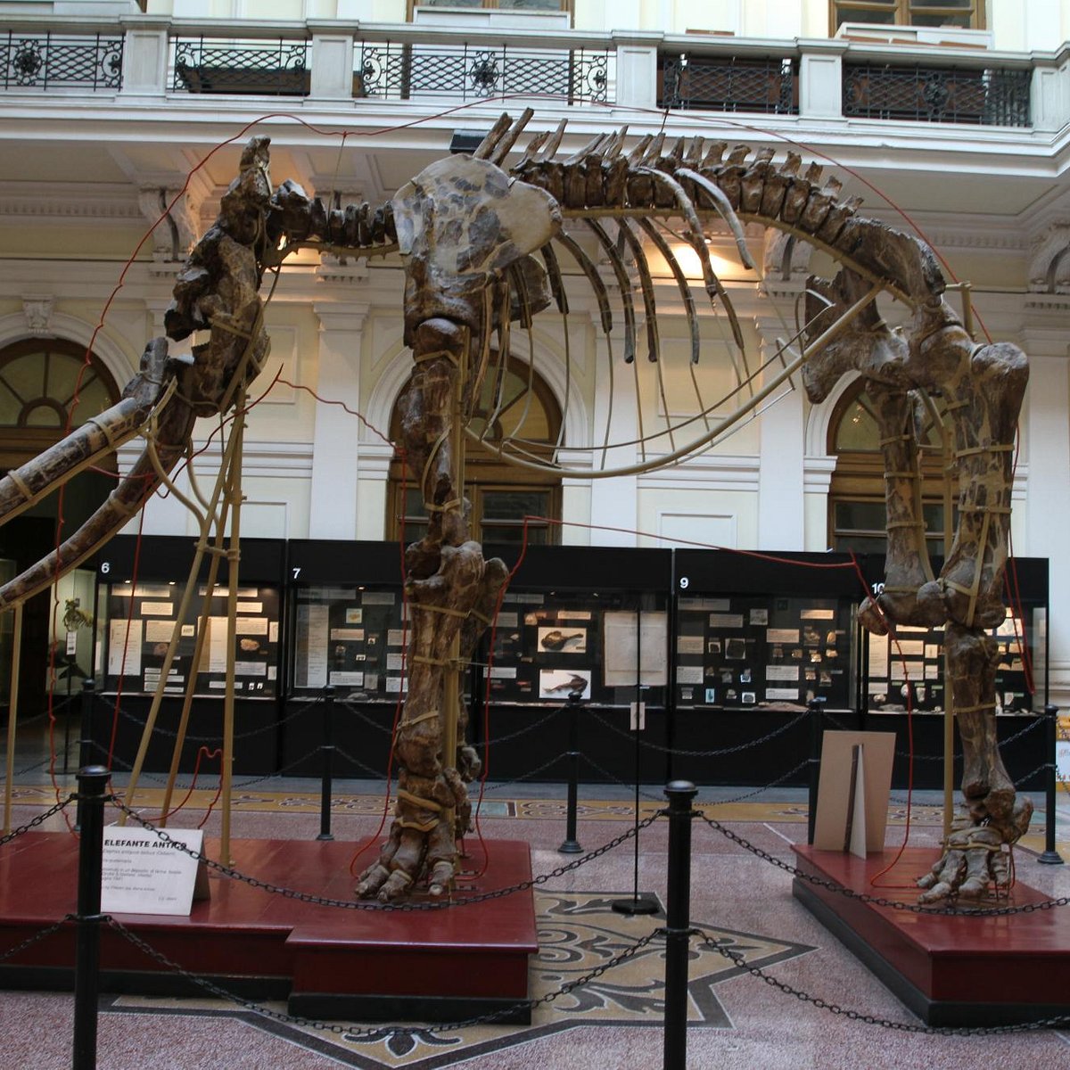 Dardani Studio Legale Genova, Italy Office