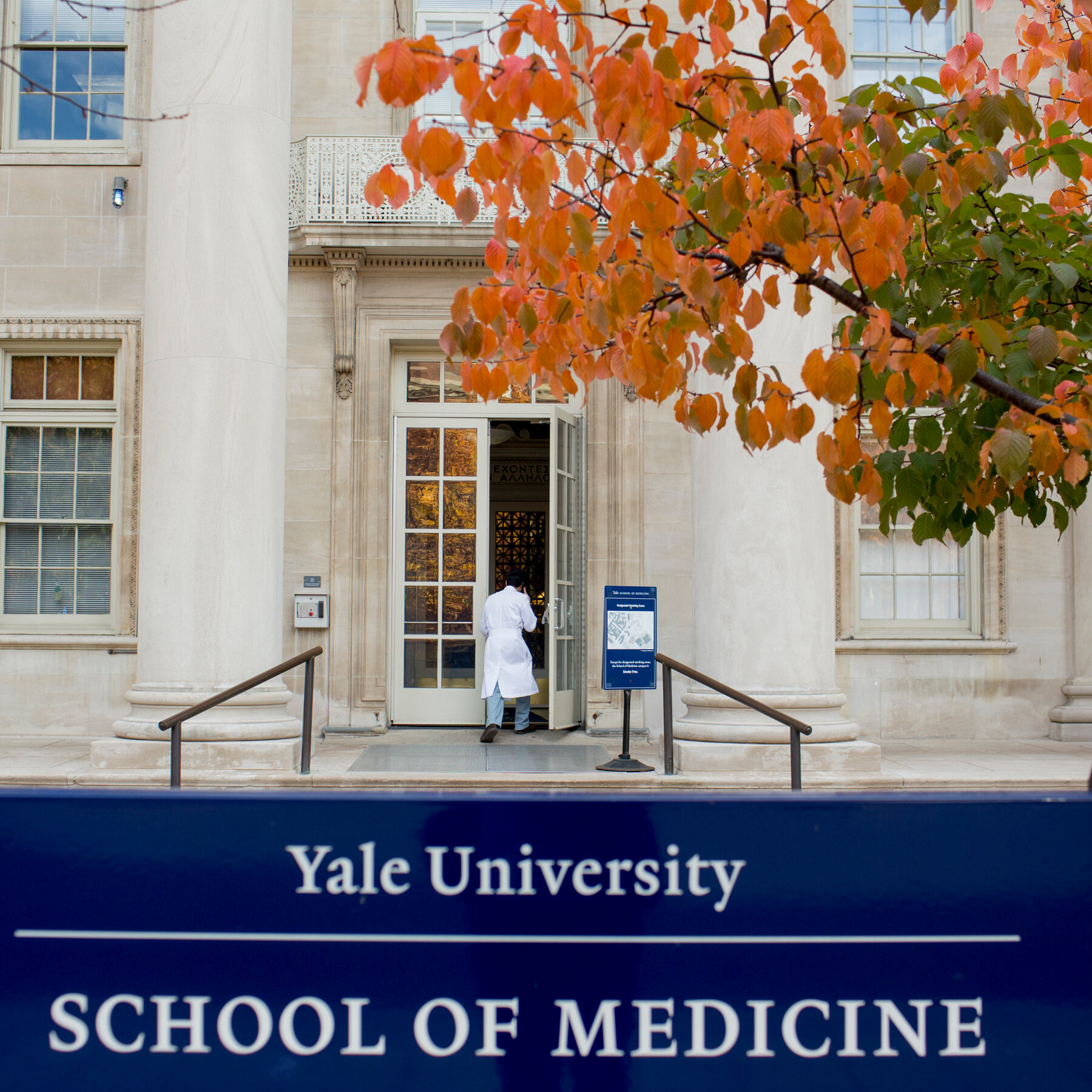 Petrone & Petrone, P.C New York, NY Office