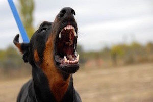 Law Offices of Ronald A. Ramos, P.C San Antonio,  Office