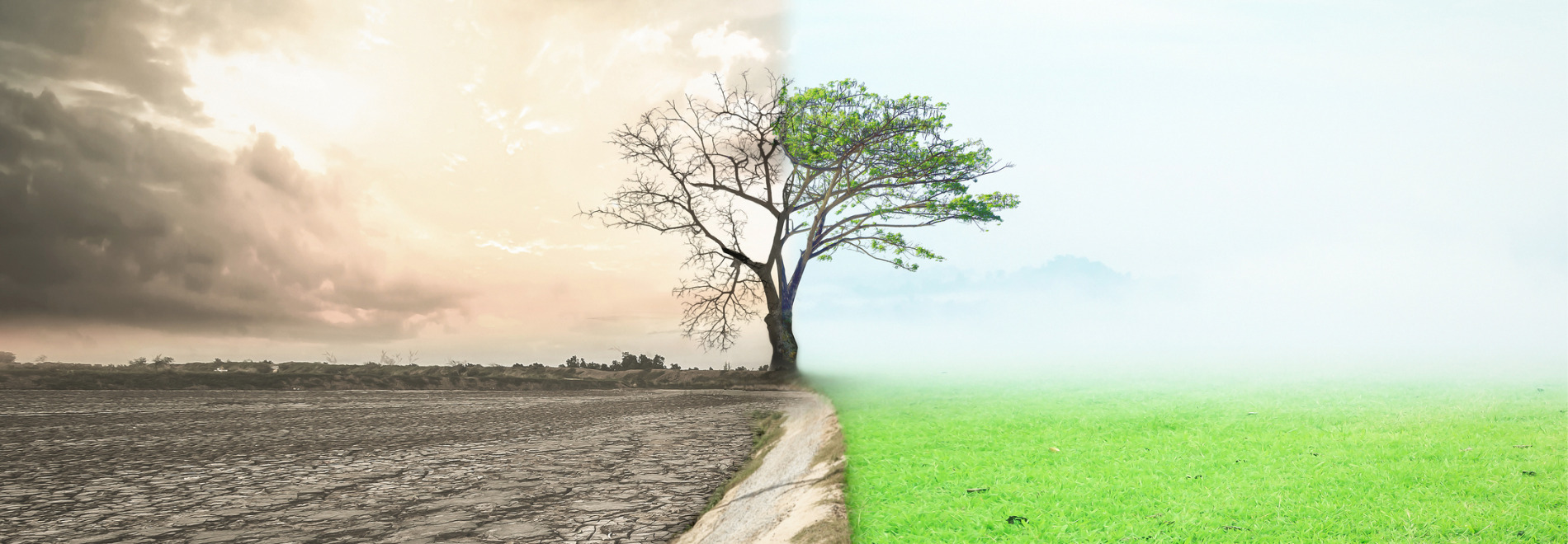 Lieberman Blecher & Sinkevich P.C Princeton, NJ Office